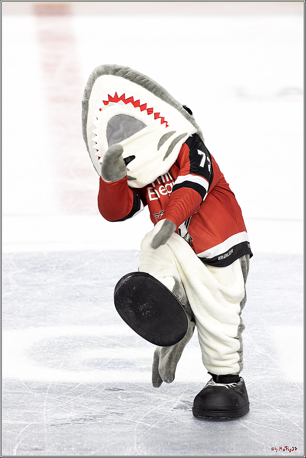 PENNY DEL;  Koelner Haie - Grizzlys Wolfsburg; Koeln, 10.09.2021